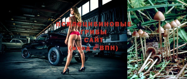 прущая мука Ельня