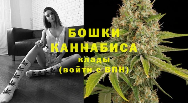 прущая мука Ельня