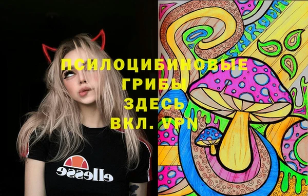 прущая мука Ельня
