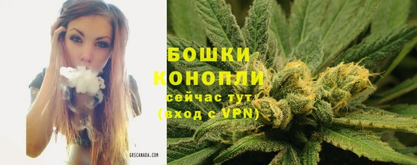 spice Елизово