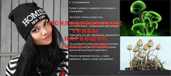 твердый Елабуга